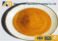 90% Digestibility Ratio Corn Protein Powder Without Anti - Nutritional Factor