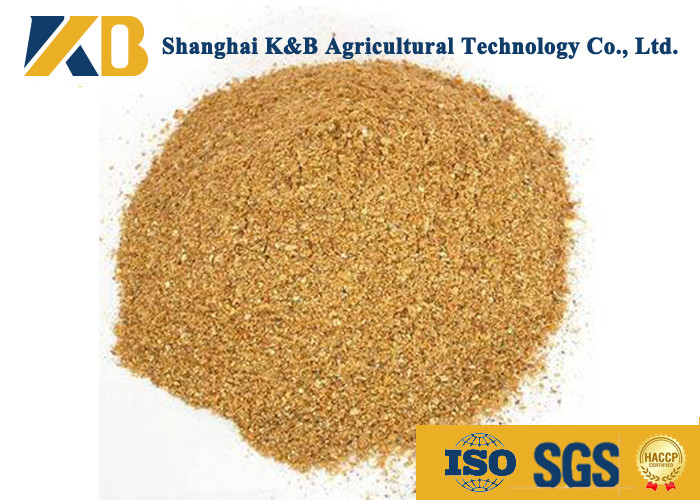 Feed Grade Healthy Corn Protein Powder ISO HACCP Certificate For Fodder