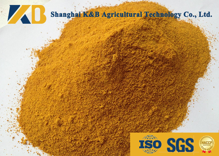 Dried Feed Powder Corn Gluten Meal Animal Feed For Direct Additive Use