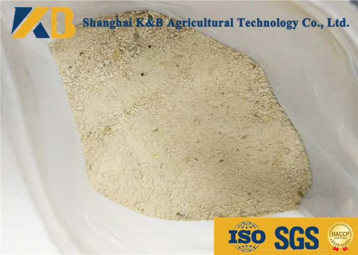 Grain Material Brown Rice Powder High Protein Increase Poultry Anti - Virus Activity