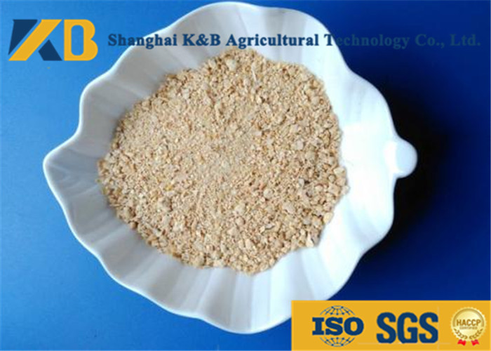 Low Sugar Content Rice Protein Powder , Healthy Protein Additive For Diet Cattle