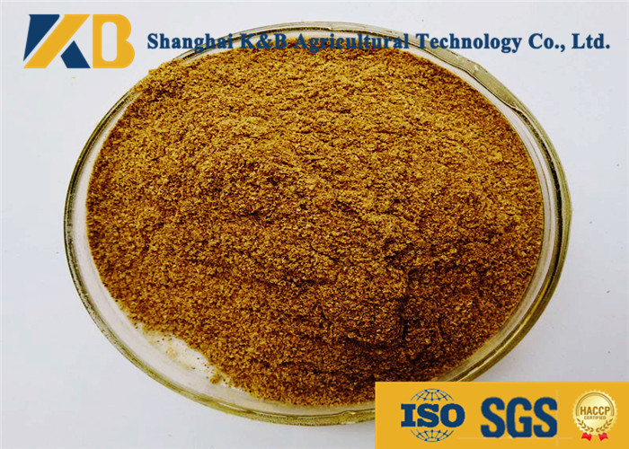 Natural Feed Grade Fish Meal Powder Light Smell With 60% Protein Content